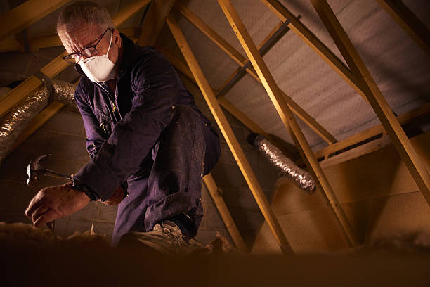 Reliable Roselle Park, NJ Insulation Contractor Solutions